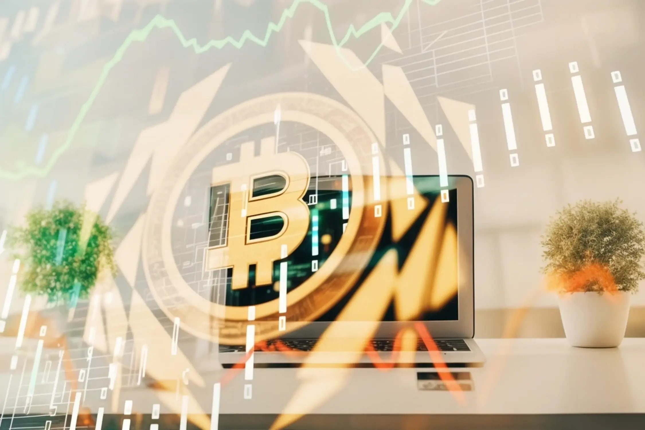 img-bitcoin-investment-strategies-2025-1